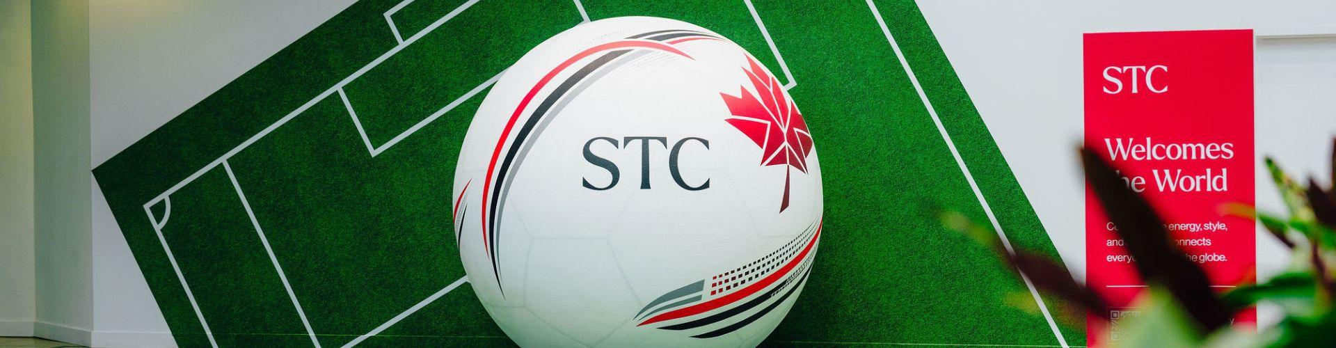 Soccer Ball Installation