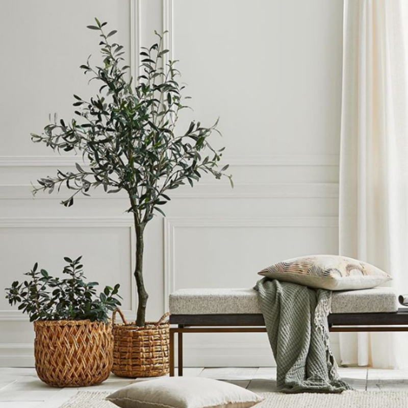 Fig Tree in Basket interior home decor